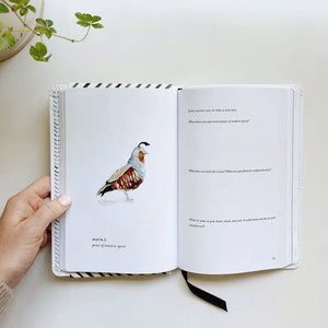 Living Freely & Lightly Journal