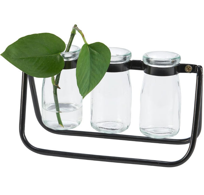 Test Tube Vases
