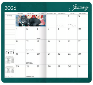 Lang 2-Year Planner - Love of Cats